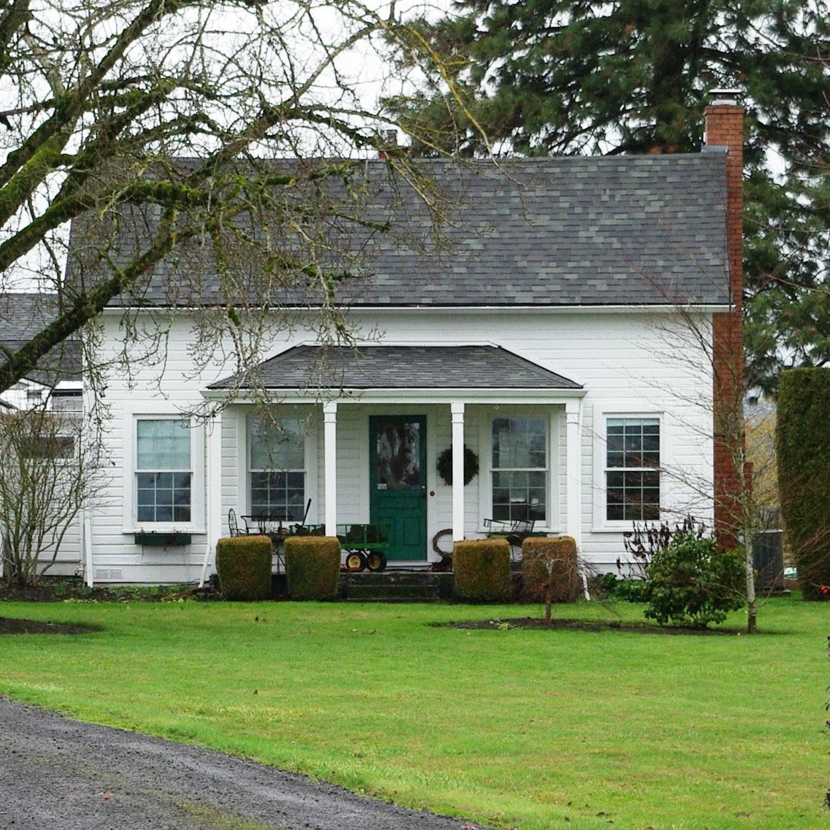 A white farmhouse with a gray shingle roof and green front door, a tall Douglas fir behind it and a wet lawn in front