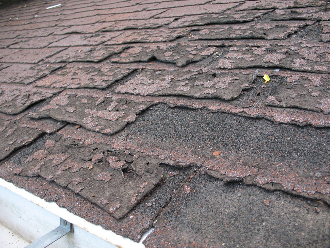 Close-up of old asphalt shingles at the eave, their granules worn away, edges curled and tabs broken off