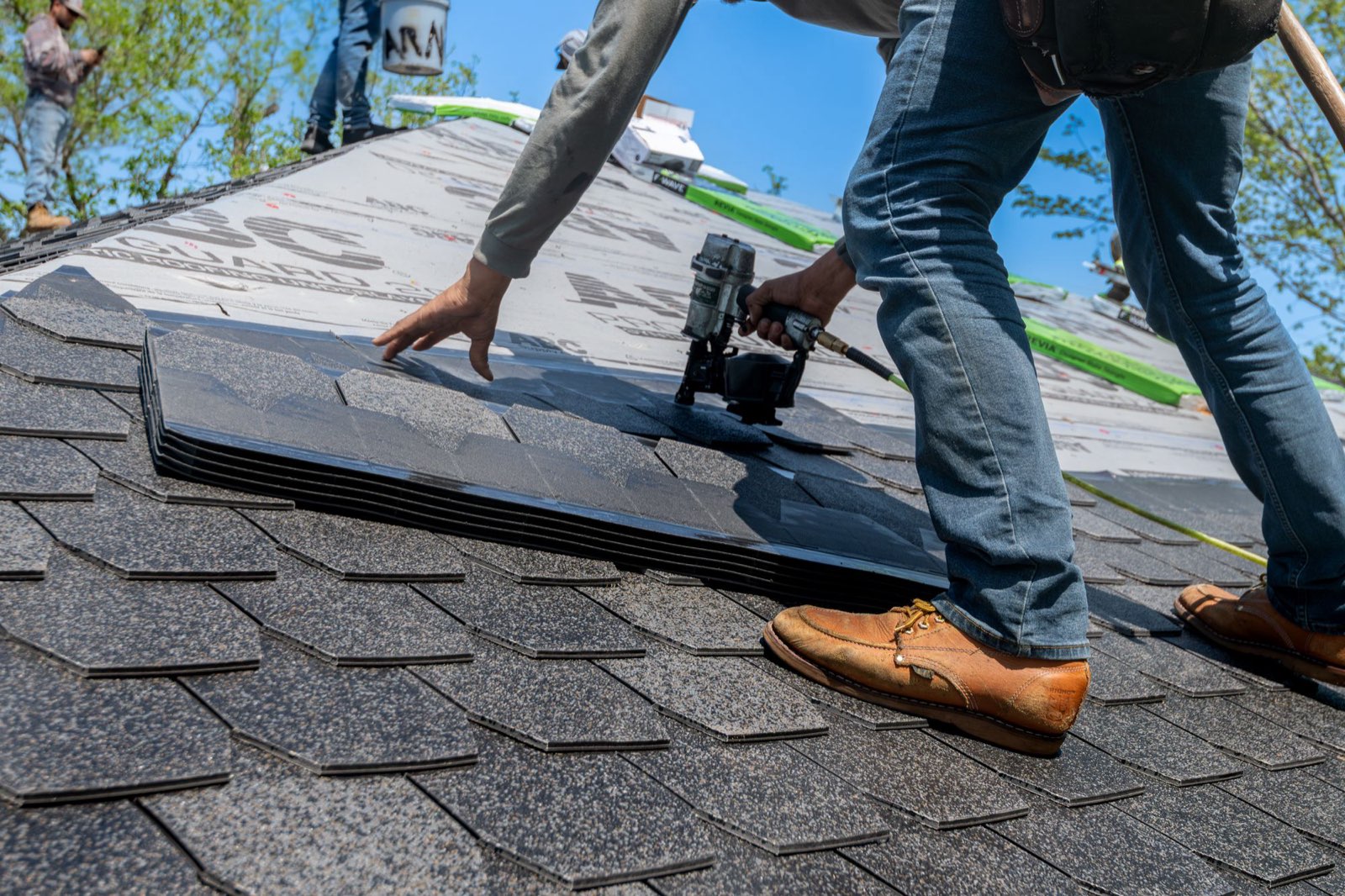 Roofer nailing new architectural shingles over synthetic underlayment